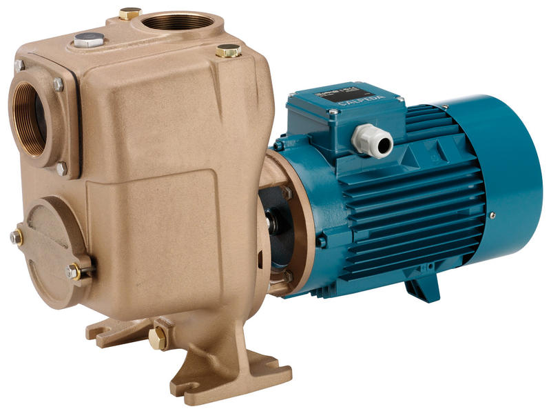 Bơm trục ngang tự mồi, cánh hở A 80-170A/A