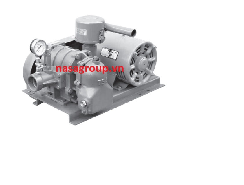 Máy  thổi khí Tsurumi RSA 40 